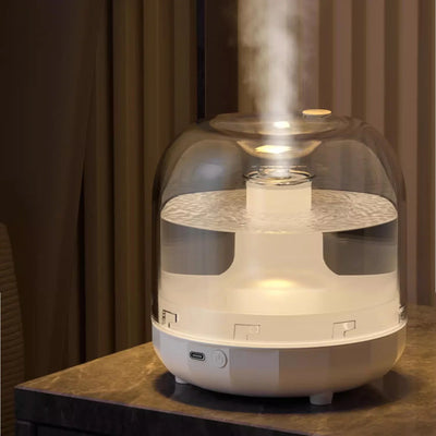 Rvasteizo USB Humidifier with Colorful, Large Capacity 500ML Quiet Cool Mist Humidifier for Bedroom and Office, Plants, Easy to Clean